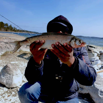 Guidat landfiske i Mälaren – delad tur